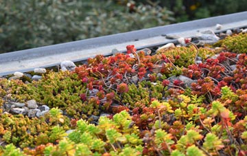 the cost of Ashfold Side green roof installation