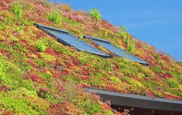 Ashfold Side living roof systems