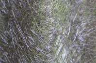 Ashfold Side fibreglass roof work