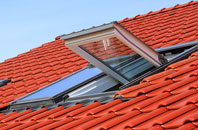 Ashfold Side roof window